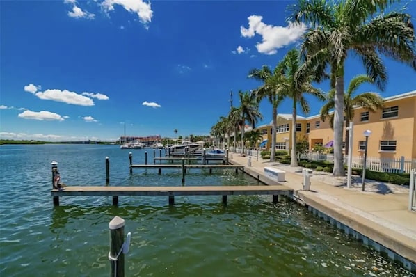 Stroll along the waterfront promenade, lined with palm trees and modern buildings.