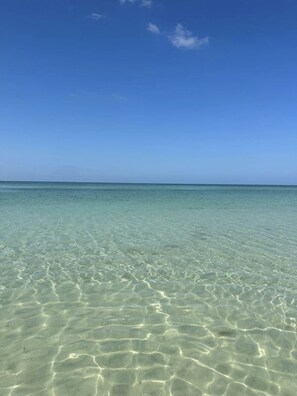 Experience the serene tranquility of a pristine beach with crystal-clear waters and a vast, sandy shoreline.