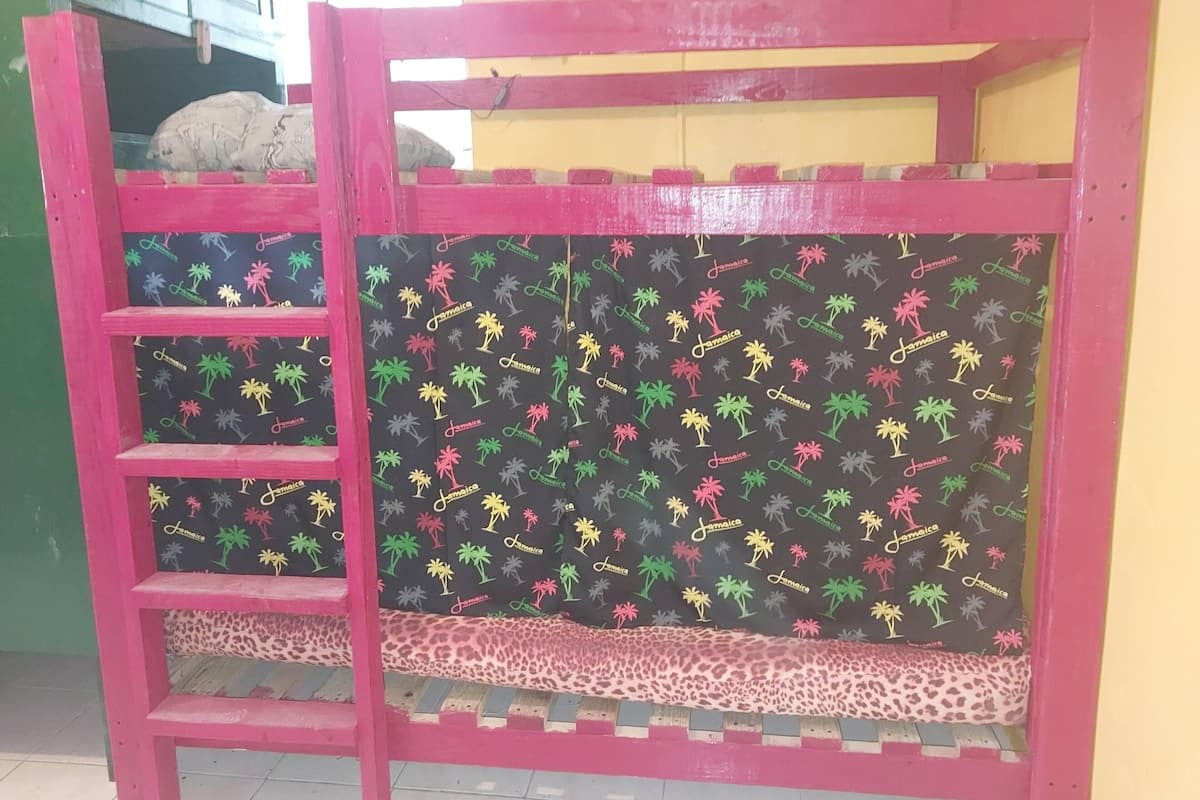A bunk bed with a ladder, a leopard print cushion, and a wall with a Jamaica-themed pattern.