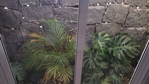 Blick durch ein Fenster auf eine Steinmauer und verschiedene Pflanzen, darunter eine palmenähnliche Pflanze und eine Pflanzenart mit großen Blättern.