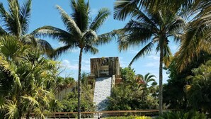 A lush garden with palm trees, a water feature, and a stone structure.