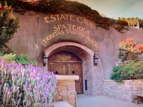 Fête du Travail - Superbe suite de condo 1 bd à Napa Valley. Bouteille de vin gratuite et plus