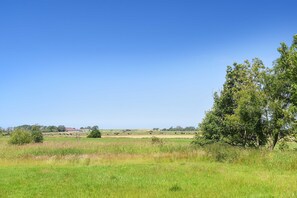 Imagen sin descripción, 5 de 24, botón