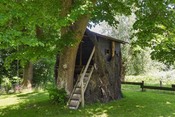 Imagen sin descripción, 1 de 24, botón