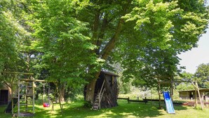 A playground with a slide, swings, and a treehouse.