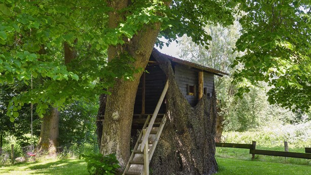 A treehouse with a wooden ladder leading up to a small wooden structure.