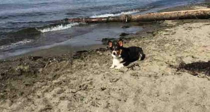 Everett - Cozy, Quiet 2 Bedroom House Close 2 Everything