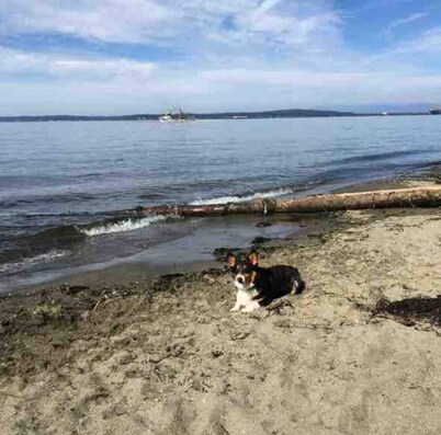 Everett - Cozy, Quiet 2 Bedroom House Close 2 Everything