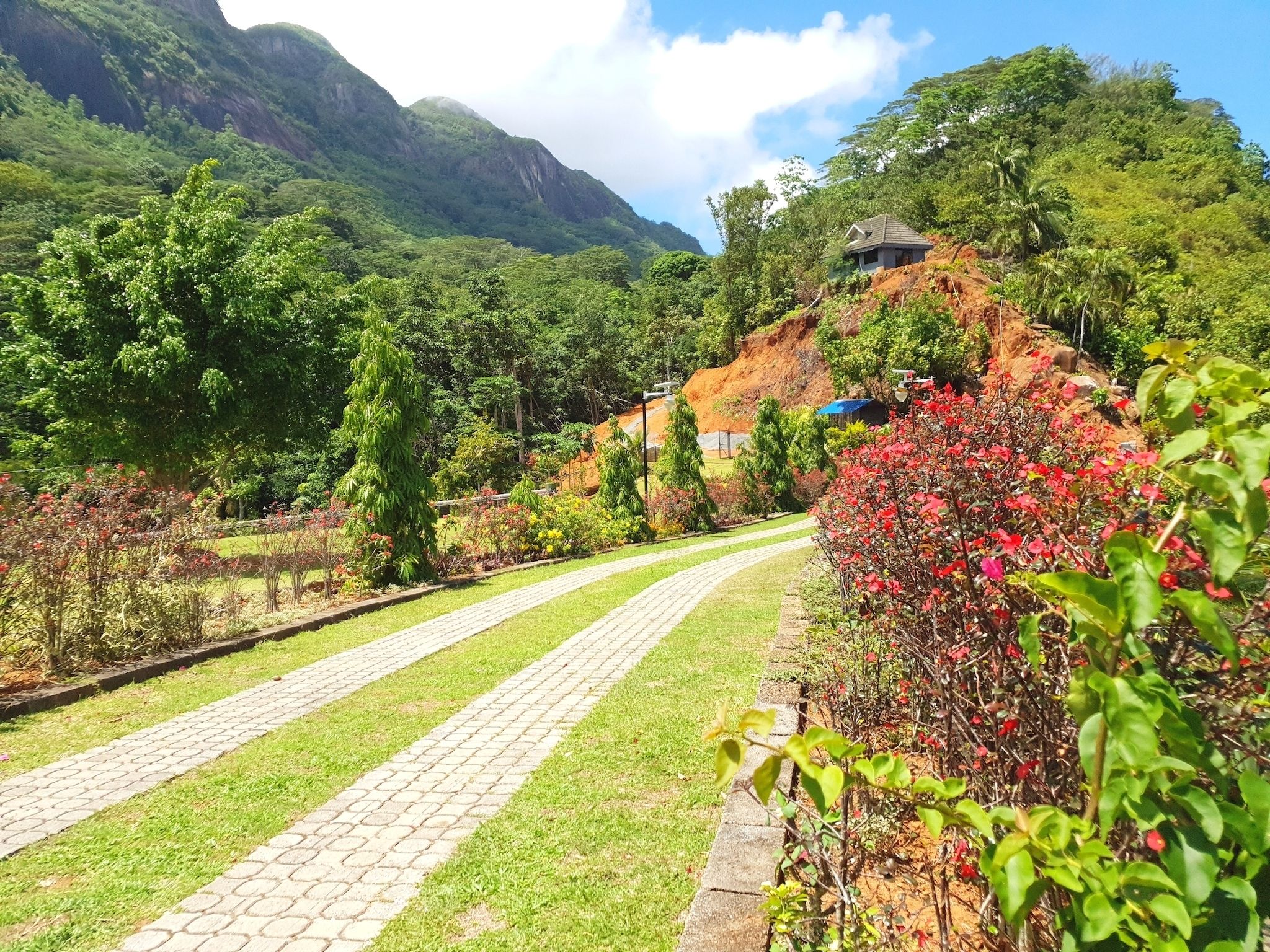 Un sendero pavimentado serpentea por un exuberante jardín con diversas plantas y árboles, rodeado de un paisaje montañoso.