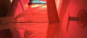 White House Homestay Udaipur