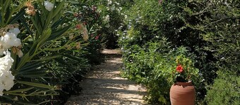 Six-bedroom House With Terrace Ionian Sea View