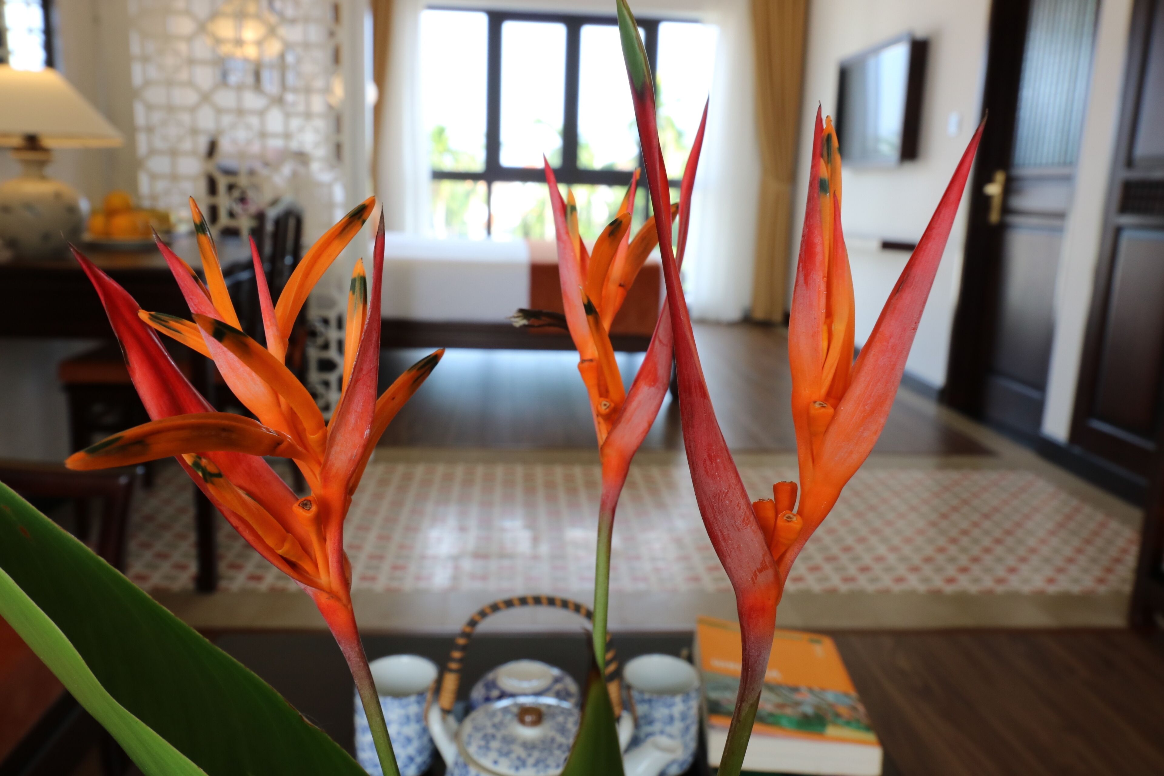 Photo - Roxana River Villa