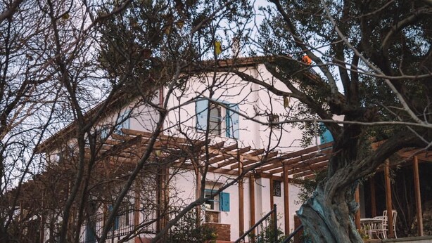 Una casa con una escalera de piedra que lleva a un porche, rodeada de árboles y un cielo despejado.