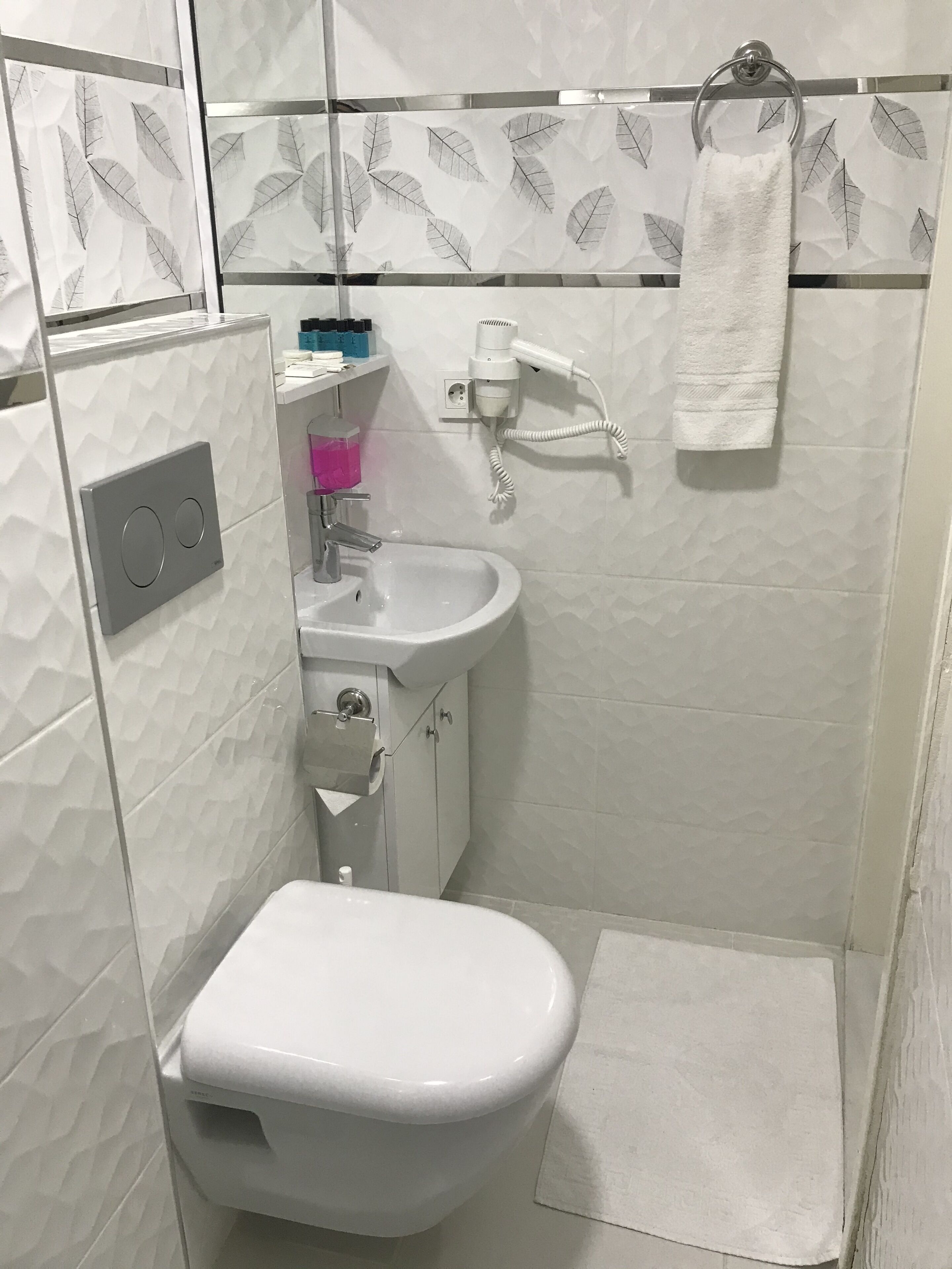 Ein kleines, modernes Badezimmer mit Toilette, Waschbecken und Dusche.