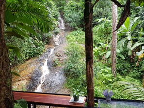 Una cascada en un entorno frondoso y verde.