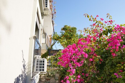 Lacasita Urla