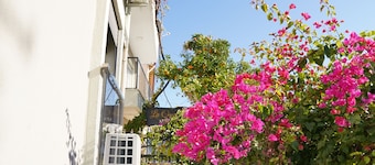 Lacasita Urla