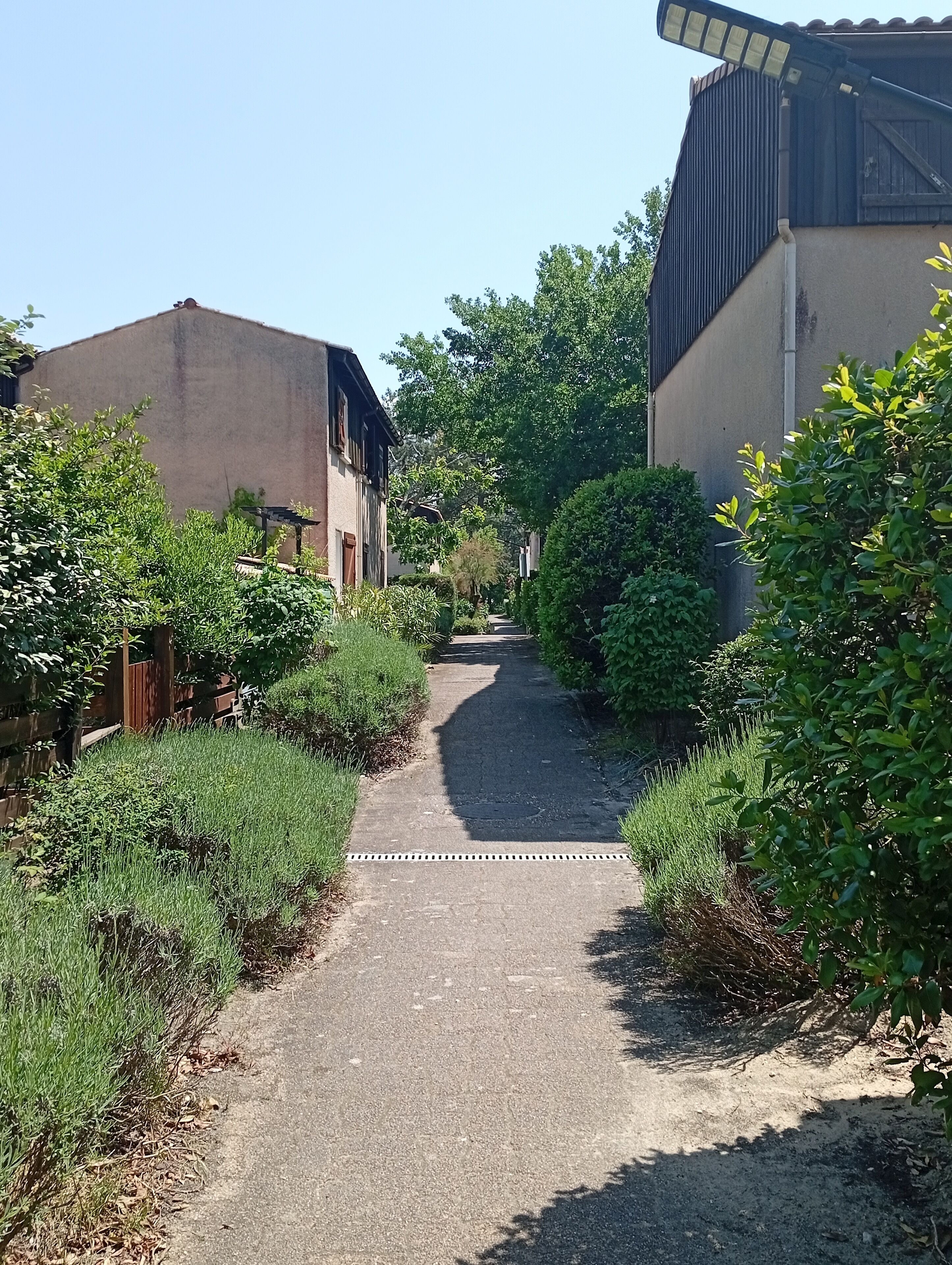 A narrow paved pathway flanked by lush greenery and residential buildings.