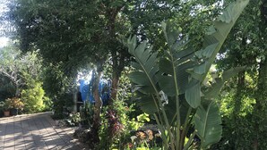 Un sentier de jardin bordé de différentes plantes et arbres.