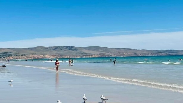 Une plage où l’on voit des gens se promener et nager, et des mouettes sur le sable.