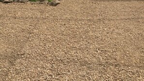 A greenhouse with a gravel path, plants, and a wooden bench. - Eco Resort Bonaire (Kralendijk)