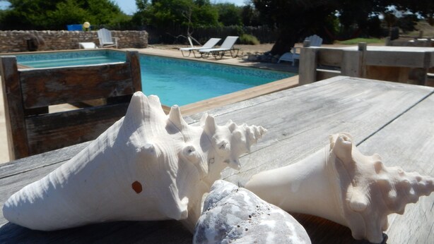 A wooden deck with a pool and lounge chairs in the background. - Eco Resort Bonaire (Kralendijk)