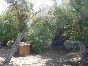 Garden - Eco Resort Bonaire (Kralendijk)