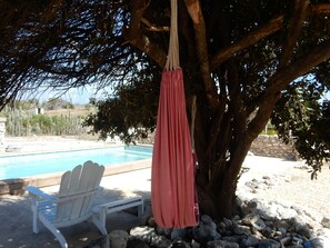 Outdoor pool, pool umbrellas, pool loungers - Eco Resort Bonaire (Kralendijk)