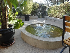Relax by the serene fountain surrounded by lush greenery and a comfortable bench.