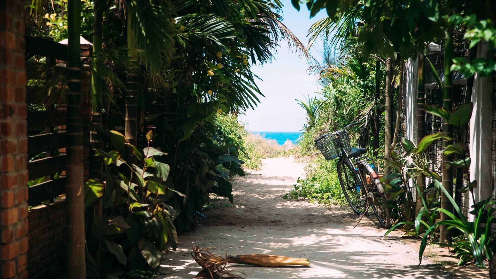A narrow pathway flanked by lush greenery and a beach in the distance.