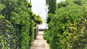 Unclassified image, 2 of 57, button - Vila La Vita del Mare (Bijela)