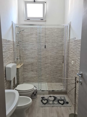 Shower, hair dryer, bidet, towels