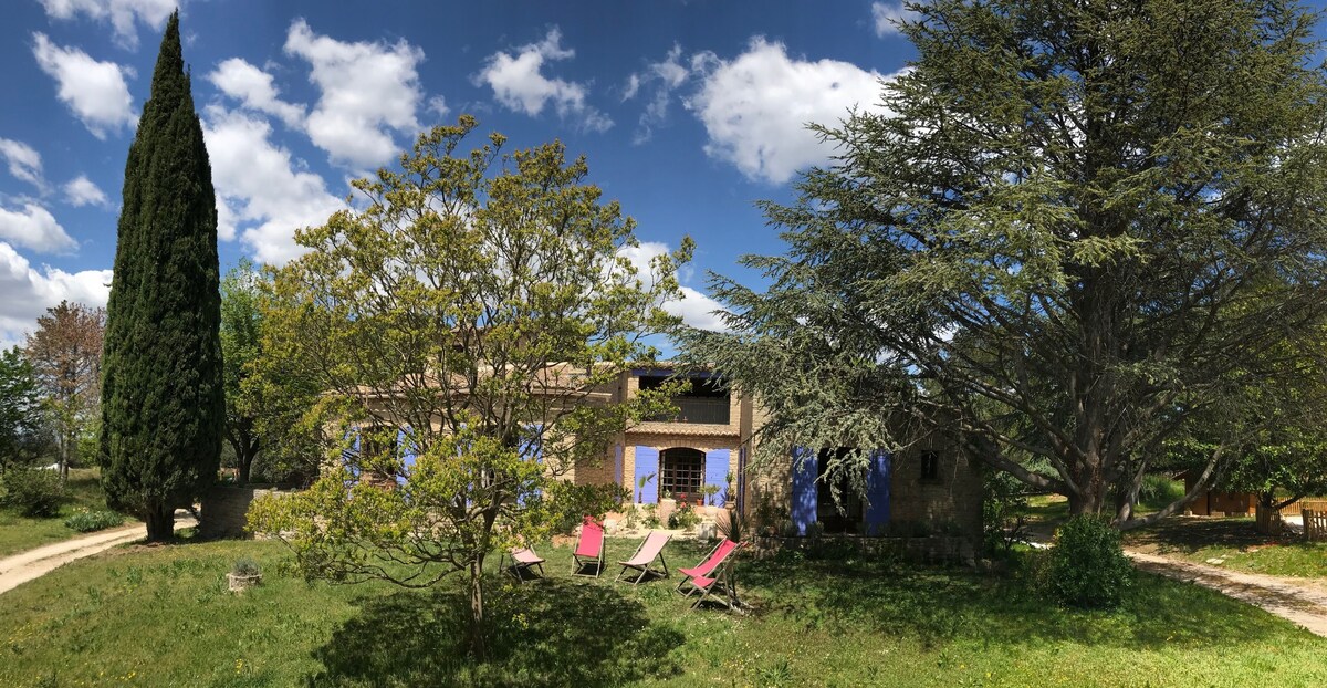 Imagen de perfil del propietario o de la propietaria