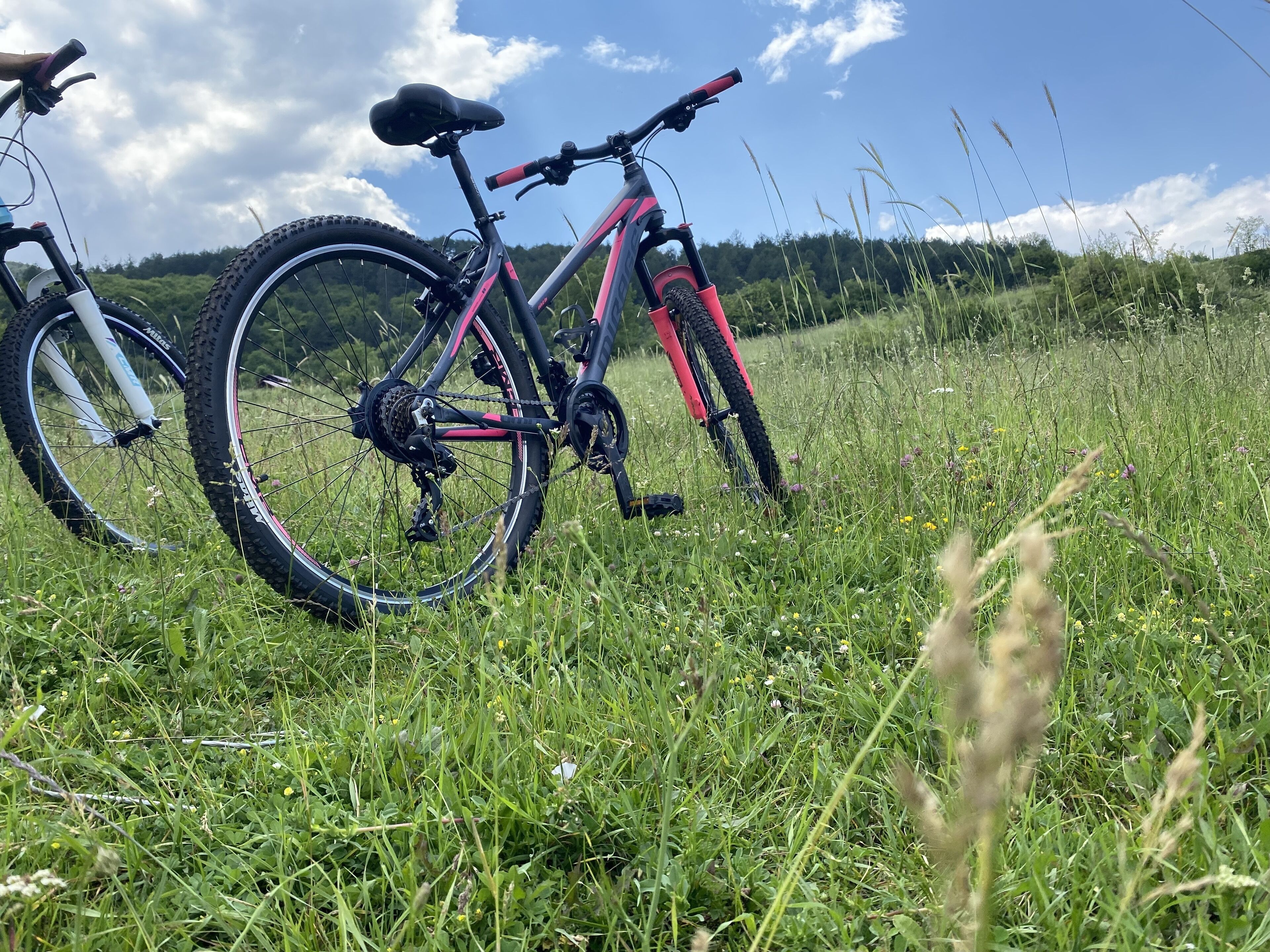 children’s activities