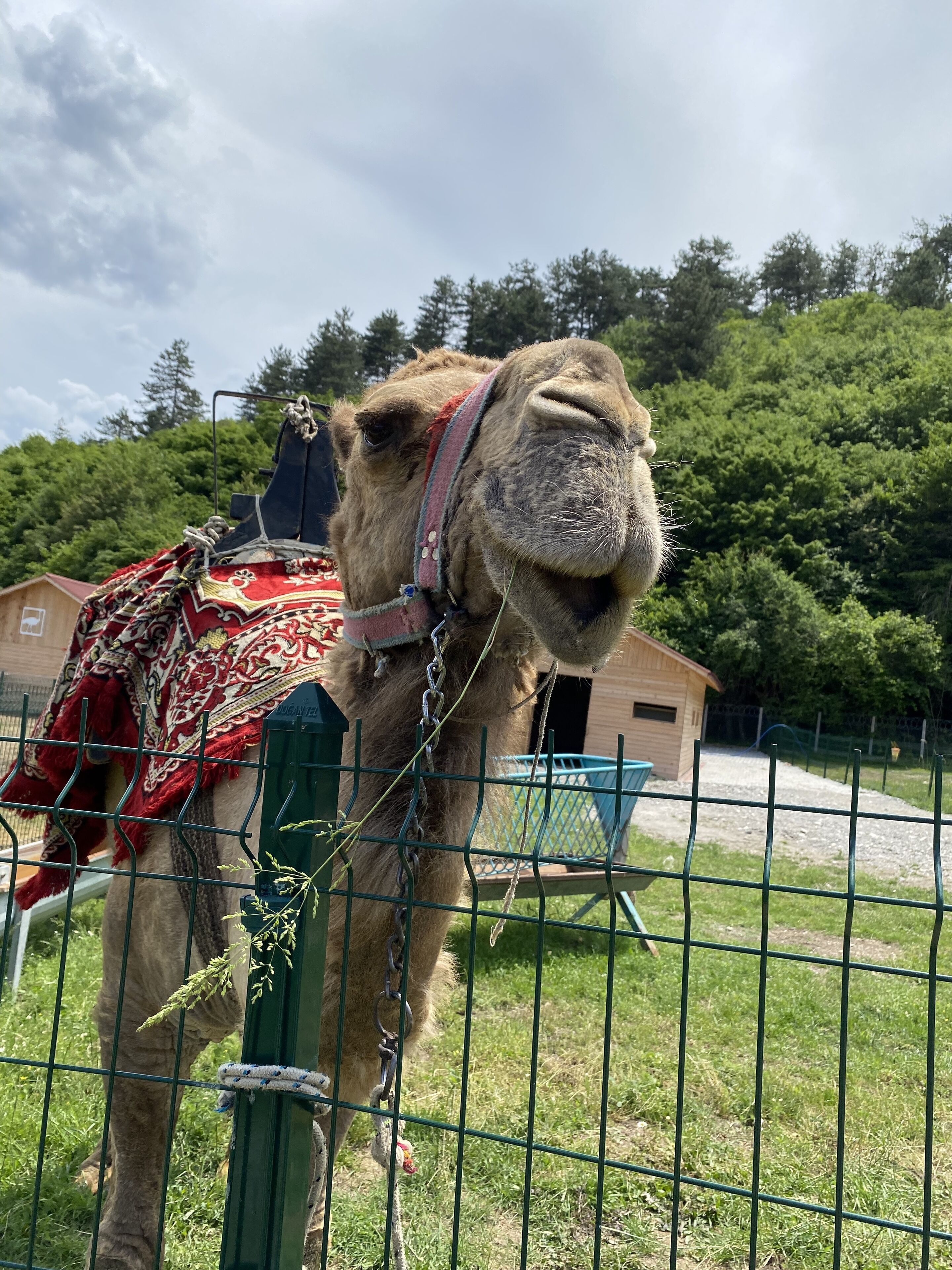 children’s activities