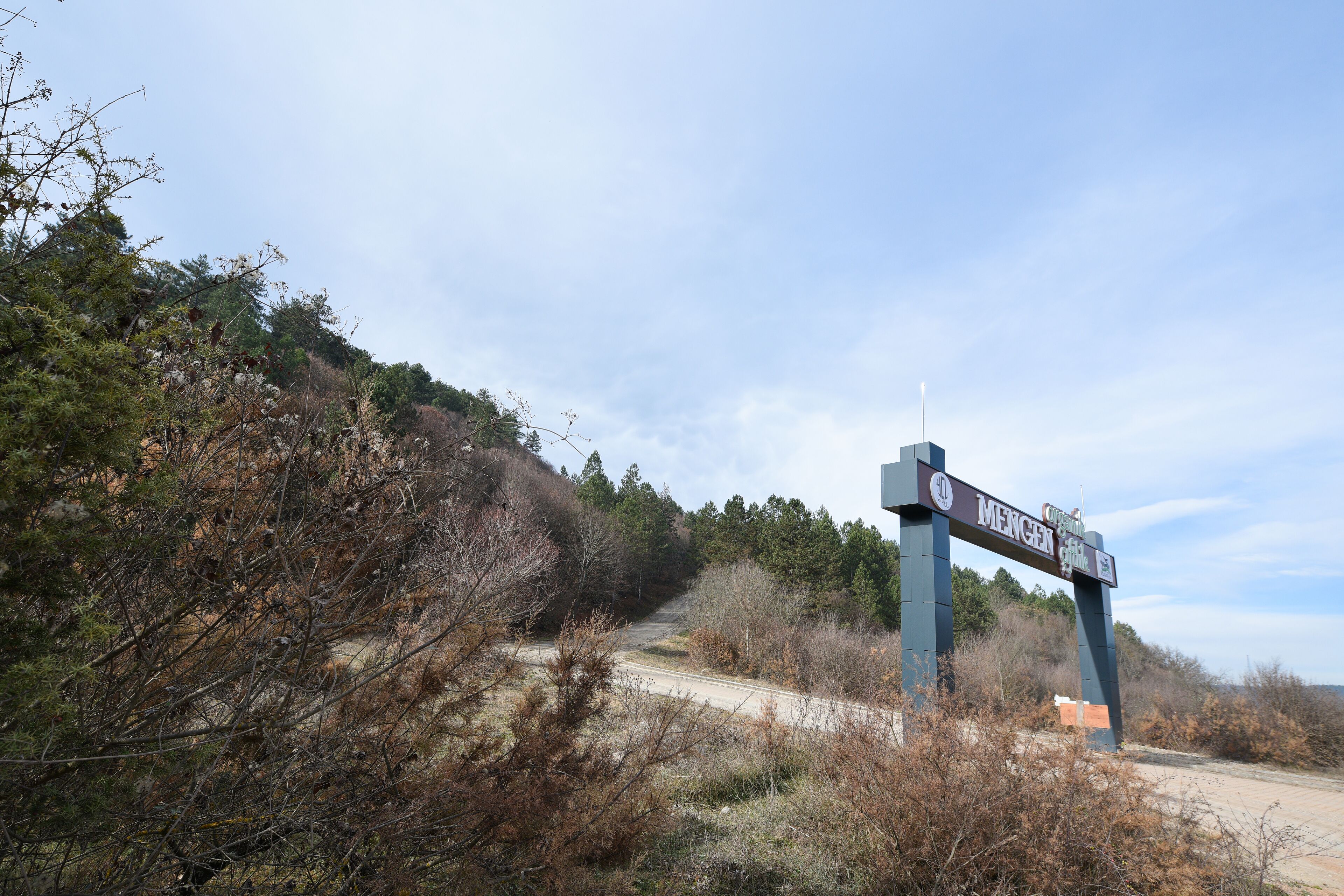 land view from property