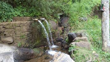 A small natural water feature with a stone wall and a metal pipe, surrounded by rocks and greenery.