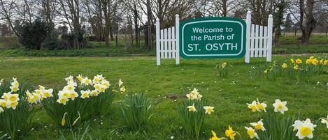 Overnattingsstedets uteområder