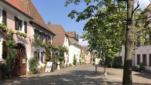Une rue pavée bordée de bâtiments européens traditionnels, dont certains arborent des enseignes et sont agrémentés de verdure.