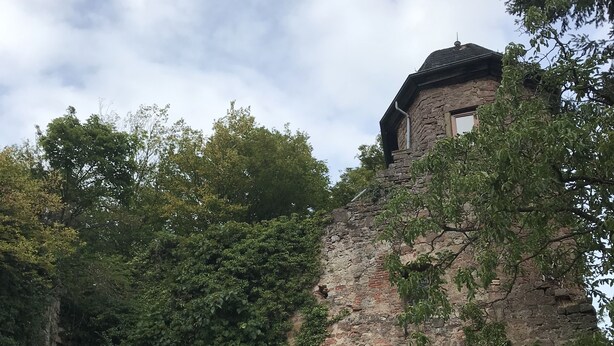 Un bâtiment en pierre, doté d’une porte sombre et d’une entrée en arc de cercle, entouré d’une végétation luxuriante.
