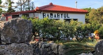Badabyul & Dive Guesthouse - Hostel