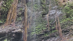 A waterfall cascading over a rocky cliff with dense vegetation. - Paradise Wild Hills (Hosanagara)