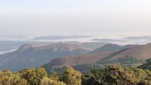 A mountainous landscape with rolling hills and dense forest in the foreground. - Paradise Wild Hills (Hosanagara)