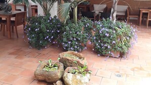 Zona de pati amb plantes grans en testos i un sòl de rajola.