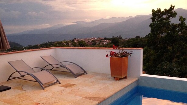 Una piscina al terrat amb gandules i una test de flors.