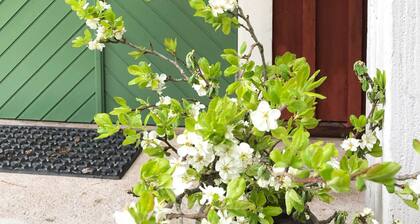 Kaunis vanha kesämökki Ruotsin maaseudulla