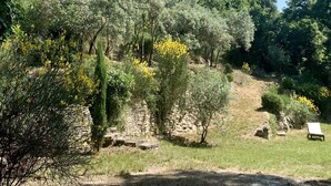 Jardí amb arbres i arbustos diversos, un mur de pedra i una cadira de relax.