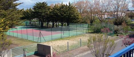 Sport court