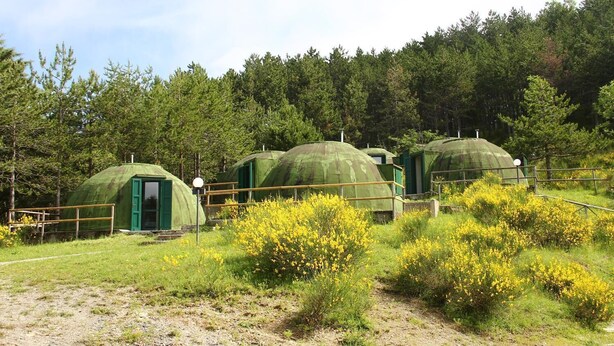 Three dome-shaped yurts with green doors and windows, surrounded by a fence and yellow flowering bushes, set in a forested area. - Astrocamp (Verghereto)