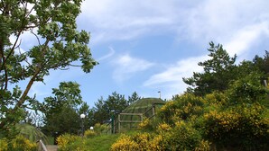 A green dome structure surrounded by lush greenery and yellow flowers, with a wooden staircase leading up to it. - Astrocamp (Verghereto)